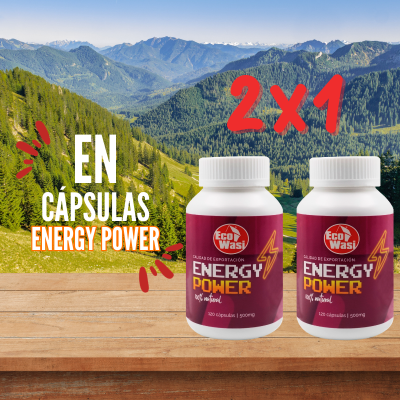 2x1 cápsulas energy power